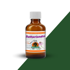 Sutherlandia 100ml