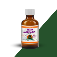 Wild Lettuce 50ml